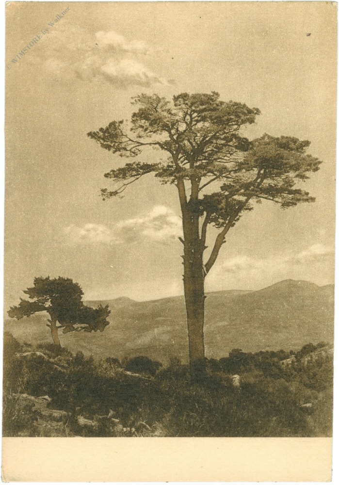 sierra de gredos, parador nacional de gredos sierra de gredos, parador nacional de gredos