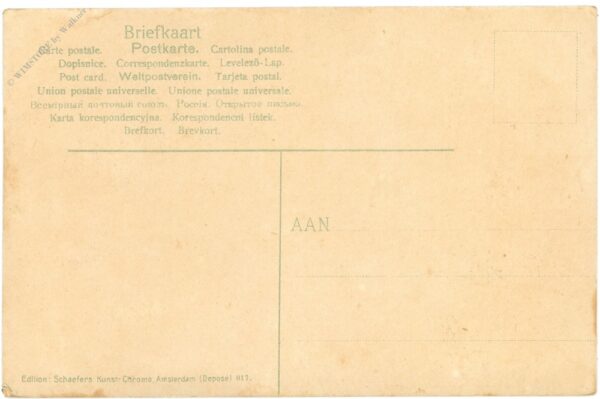 amsterdam, hyazinthenfeld