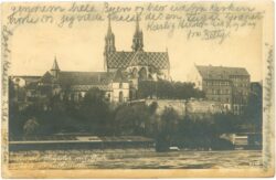 basel, münster mit pfalz