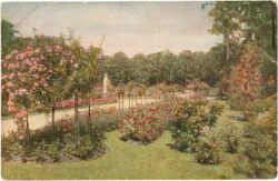berlin, rosengarten berlin, rosengarten