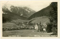 mürzsteg, ortsansicht, hohe veitsch