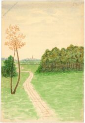 weg durch die landschaft