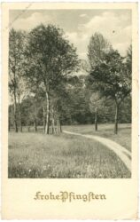 pfingsten, bäume