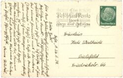 pfingsten, bäume