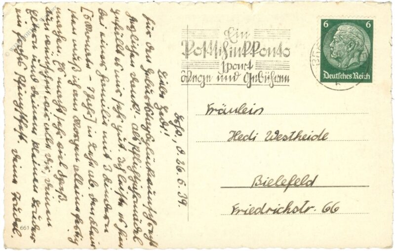 pfingsten, bäume