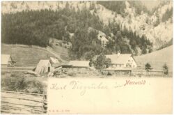 neuwald, ortsansicht neuwald, ortsansicht