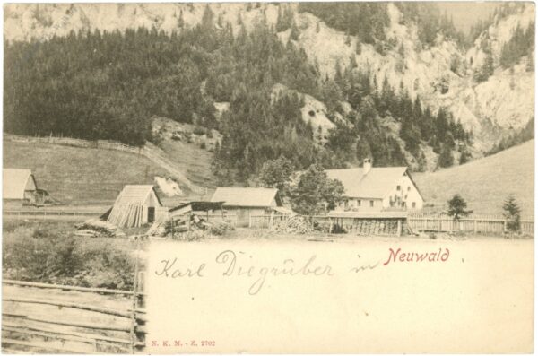 neuwald, ortsansicht neuwald, ortsansicht