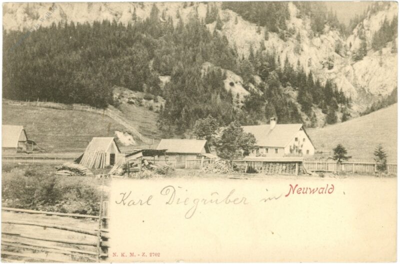 neuwald, ortsansicht neuwald, ortsansicht