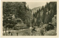 tirol bei neuberg, motiv
