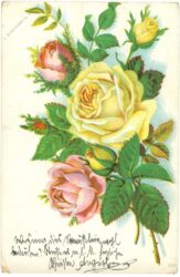 rosen rosen