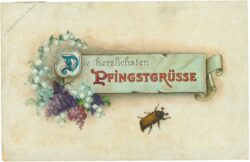 pfingsten, blumen und junikäfer