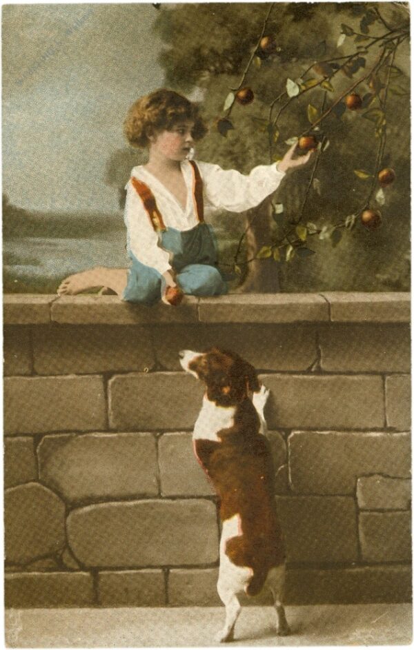 kind mit hund kind mit hund