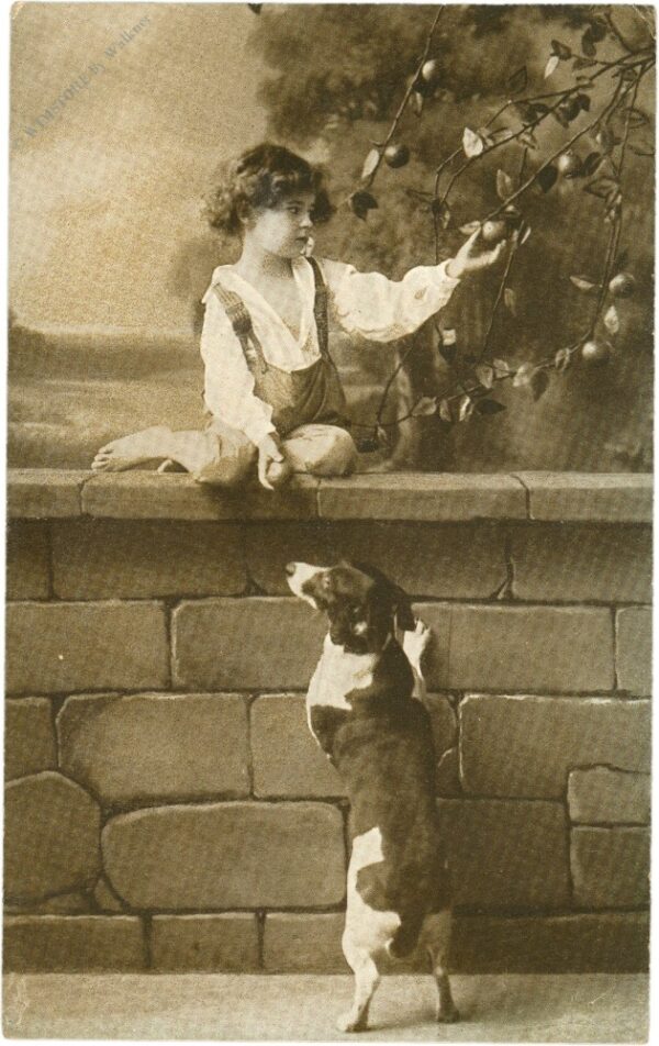 kind mit hund kind mit hund