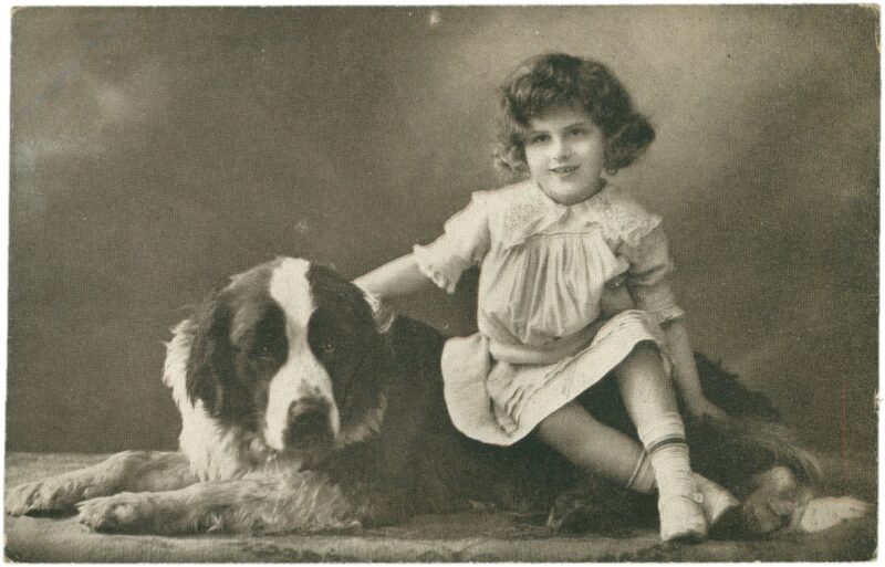 kind mit hund kind mit hund