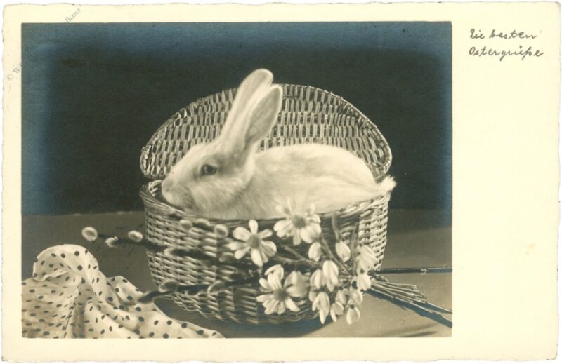 ostern, hase im korb ostern, hase im korb