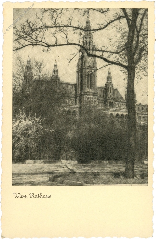wien 1, rathaus wien 1, rathaus