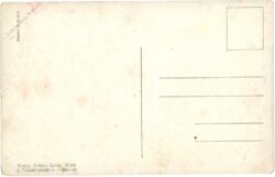 kaiser huldigungs festzug 1908