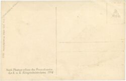 das kaiserpaar mit dem kronprinzen im leichenzug