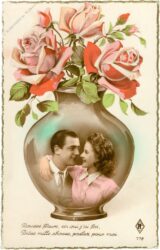 rosen in einer vase