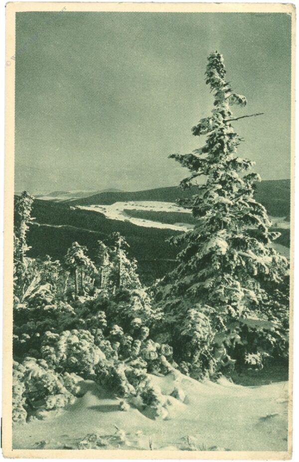riesengebirge, grenzbauden, blick von der schwarzen koppe