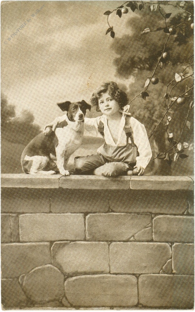 kind mit hund auf einer mauer kind mit hund auf einer mauer