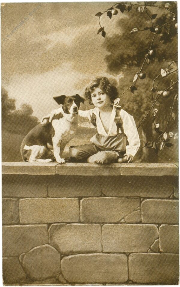 kind mit hund auf einer mauer