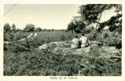 veluwe, ansicht veluwe, ansicht