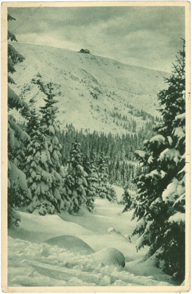 riesengebirge, prins heinrich baude weg zur hampelbaude riesengebirge, prins heinrich baude weg zur hampelbaude