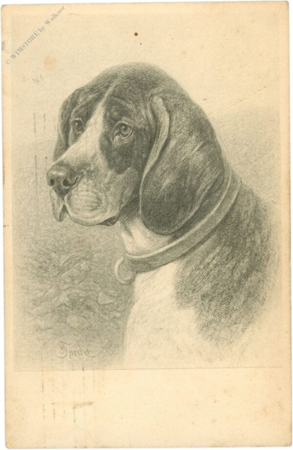hund hund