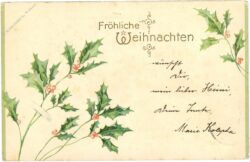 weihnachten ilex zweige