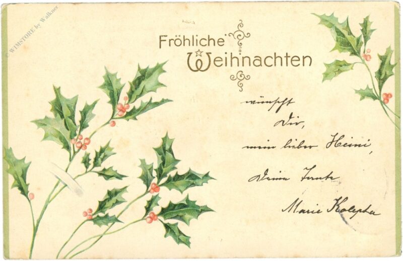 weihnachten ilex zweige weihnachten ilex zweige
