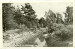 dinkel, lutterzand bij oldenzaal
