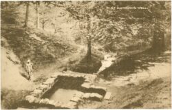 forest of dean, st. anthony's well