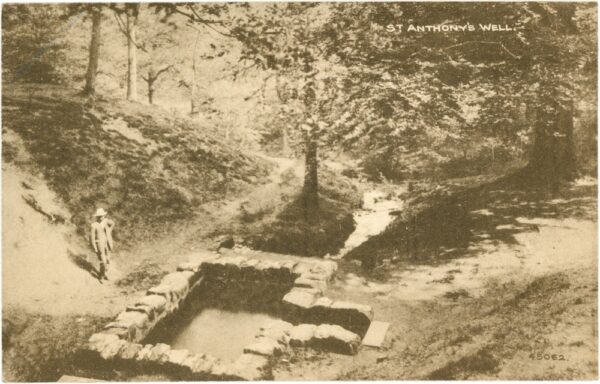 forest of dean, st. anthony's well