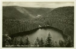 bad rippoldsau, glaswaldsee