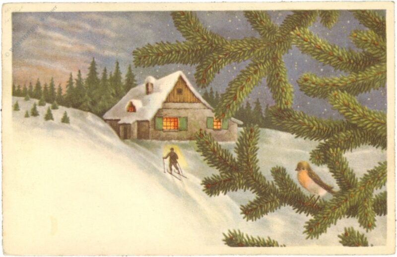 winterliche ansicht des hauses vor dem wald winterliche ansicht des hauses vor dem wald