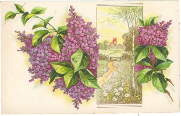 fliederblüten mit landschaft