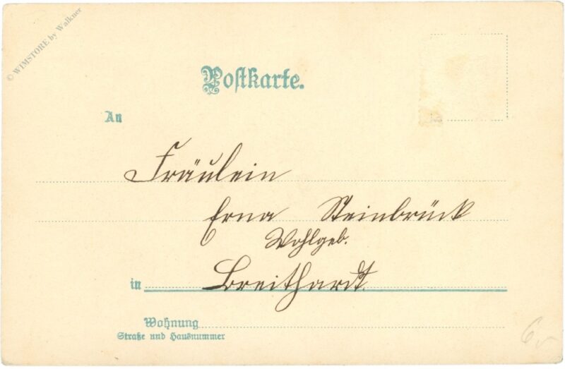 veilchen