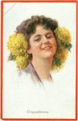 chrysanthemen chrysanthemen