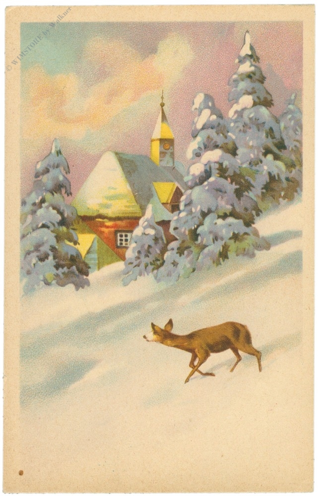 rehe im schnee rehe im schnee