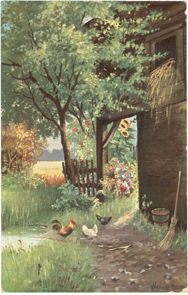 hühner im hof hühner im hof