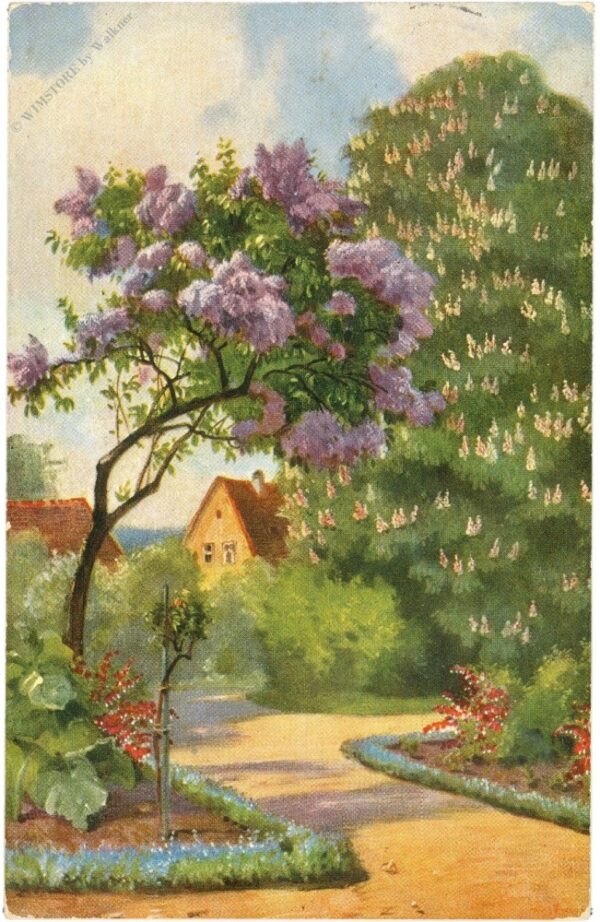 parkansicht parkansicht