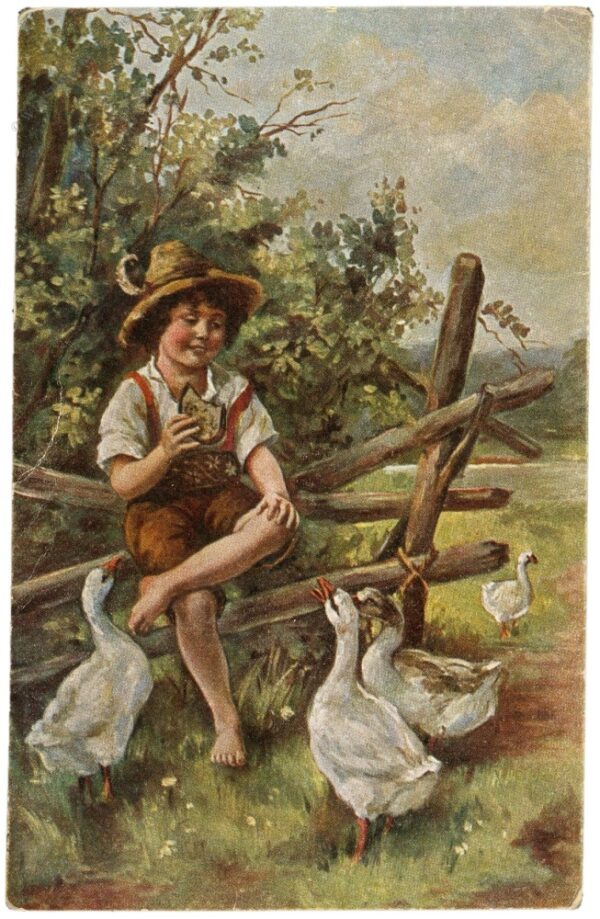 gänsehirt gänsehirt