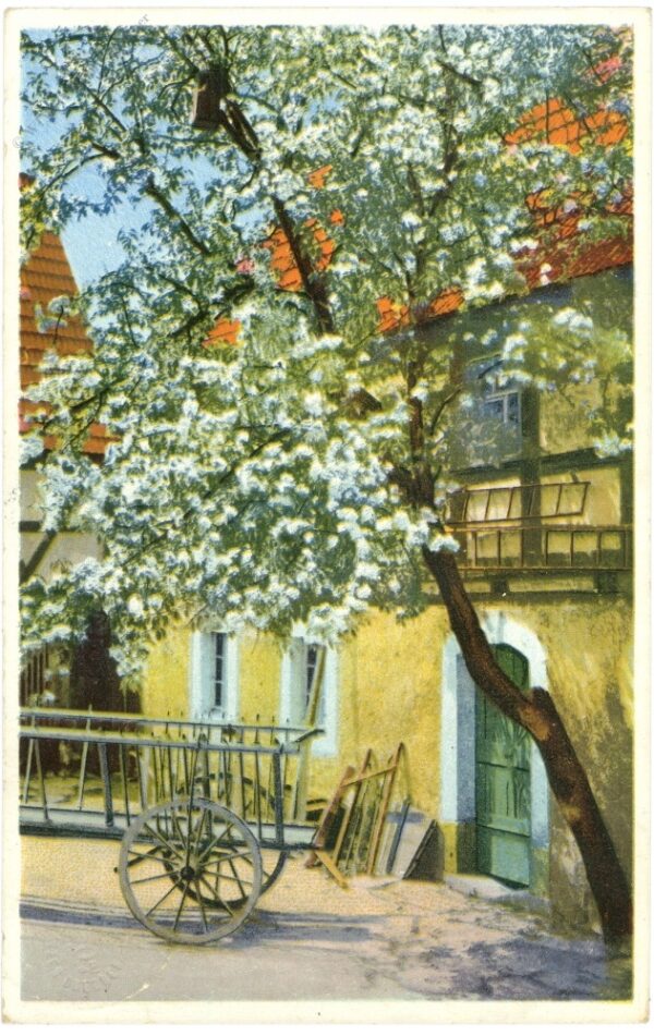 blühender hausbaum