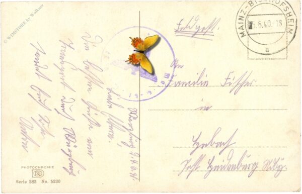 blühender hausbaum