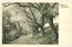 pfingsten, straßenansicht