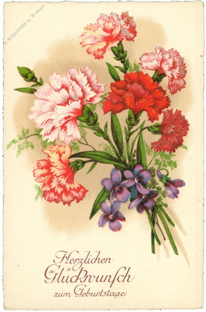 geburtstag, nelken geburtstag, nelken