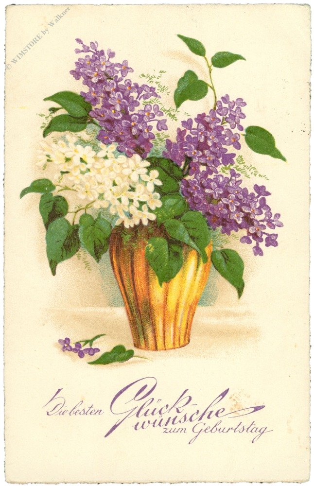 geburtstag, fliederblüten in vase geburtstag, fliederblüten in vase
