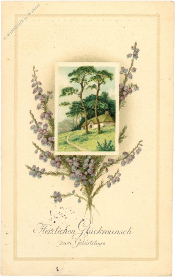 geburtstag, landschaft mit lavendel und bäumen