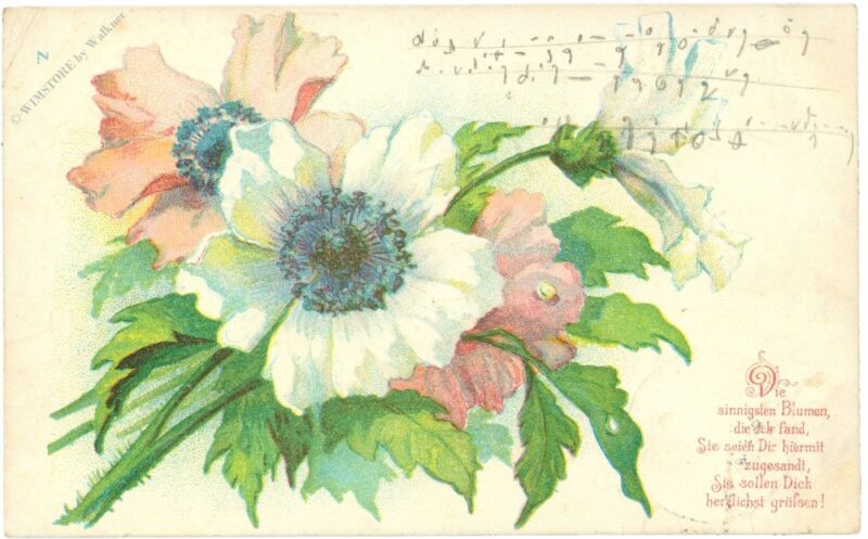 die sinnigsten blumen... die sinnigsten blumen...